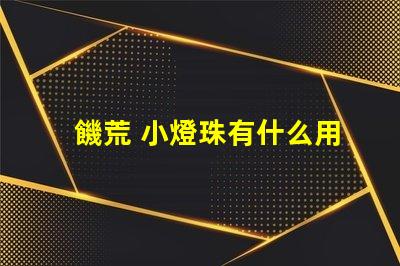 饑荒 小燈珠有什么用